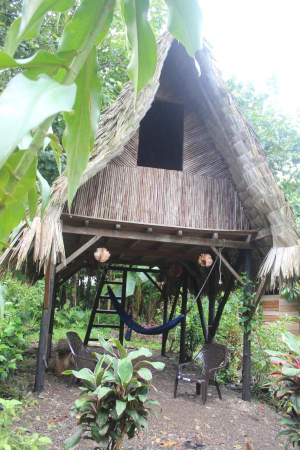 La Aldea Del Primitivo Hotell Nuquí Exteriör bild